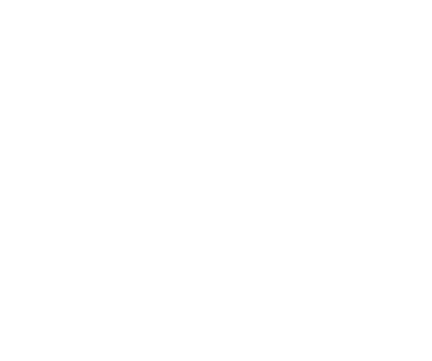 TheLocals Logo